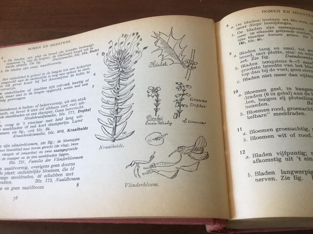 Geïllustreerde Flora van Nederland - Plantengids 1965, Ophalen of Verzenden