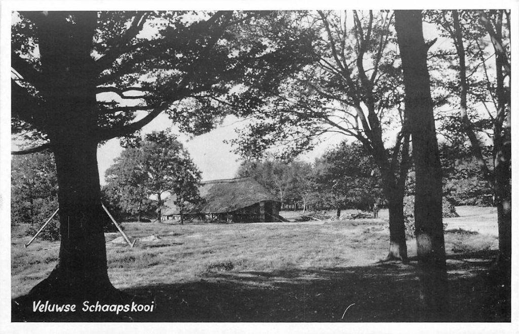 379-172-025 Veluwese Schaapskooi, Verzenden, Voor 1920, Gelderland