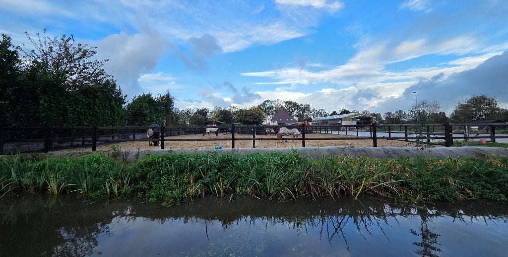 Paardenstallen te huur, Dieren en Toebehoren, Stalling, 2 of 3 paarden of pony's