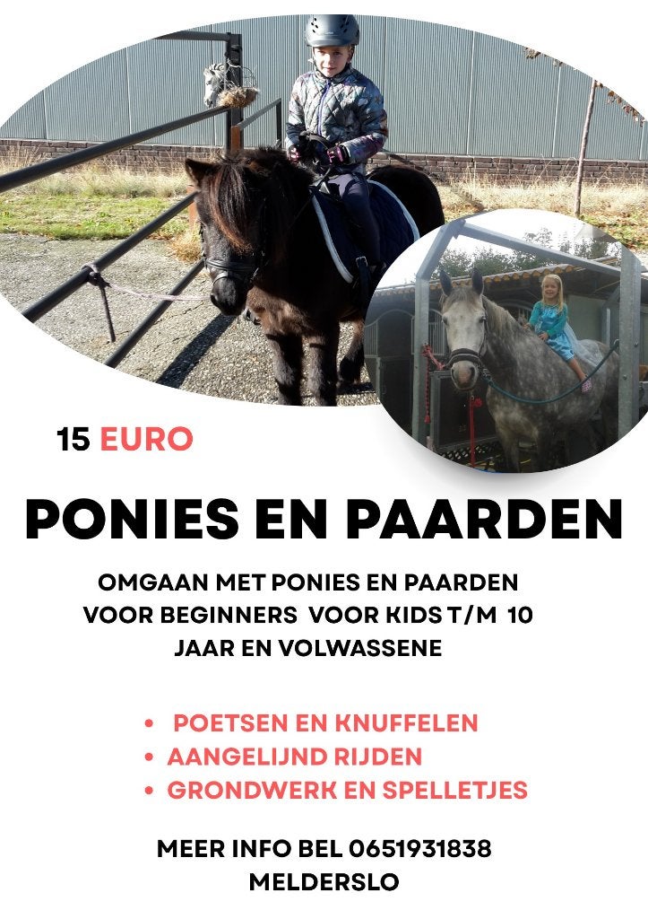 Knuffelen en spelen met ponies - ponyles - ponyrijden - pony, Ophalen of Verzenden, Nieuw, Recreatie