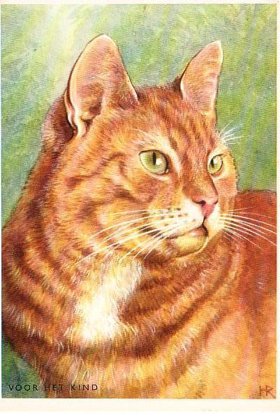 Ansichtkaart	Poes	Rode Kater, Verzamelen, Verzenden, 1960 tot 1980, Ongelopen, Hond of Kat