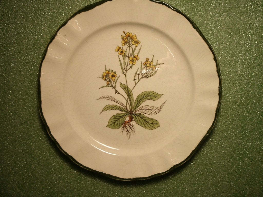 Pagnossin Treviso - bord uit italie., Ophalen, Zo goed als nieuw, Bord(en), Overige stijlen