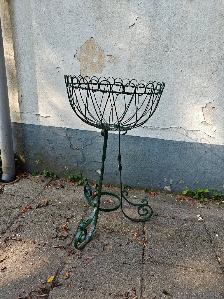 planten standaard metaal, Ophalen, Bloeit niet, Halfschaduw, Overige soorten