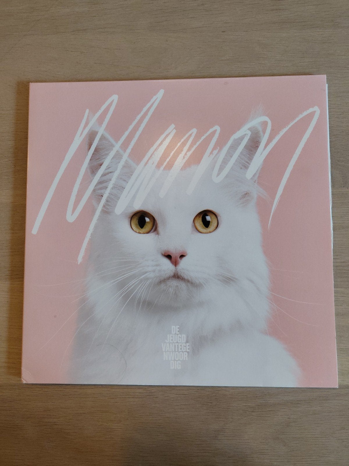 De Jeugd Van Tegenwoordig - Manon LP (Roze Hoes), LP, Pop, Ophalen of Verzenden, 12 inch