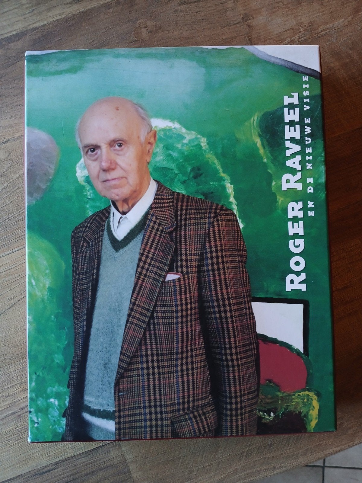 roger raveel  en de nieuwe visie, Verzenden, Zo goed als nieuw, Schilder- en Tekenkunst