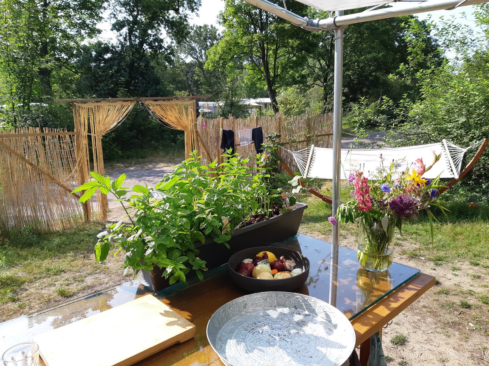 Te huur stacaravan camping Bakkum, Caravans en Kamperen, Verhuur