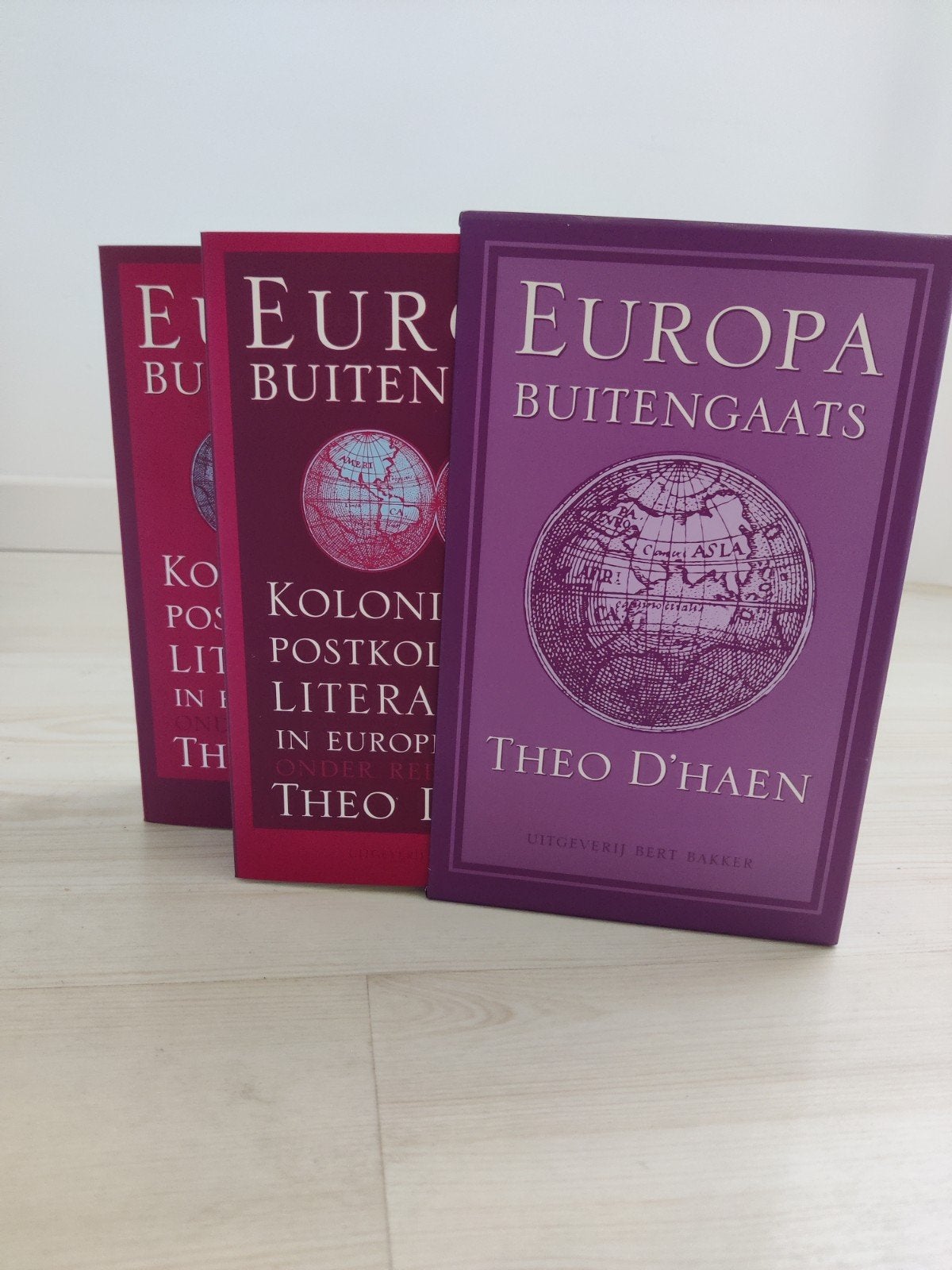 Europa Buitengaats - Koloniale en postkoloniale literaturen, Ophalen of Verzenden, Nieuw, Theo D'haen, Nederland