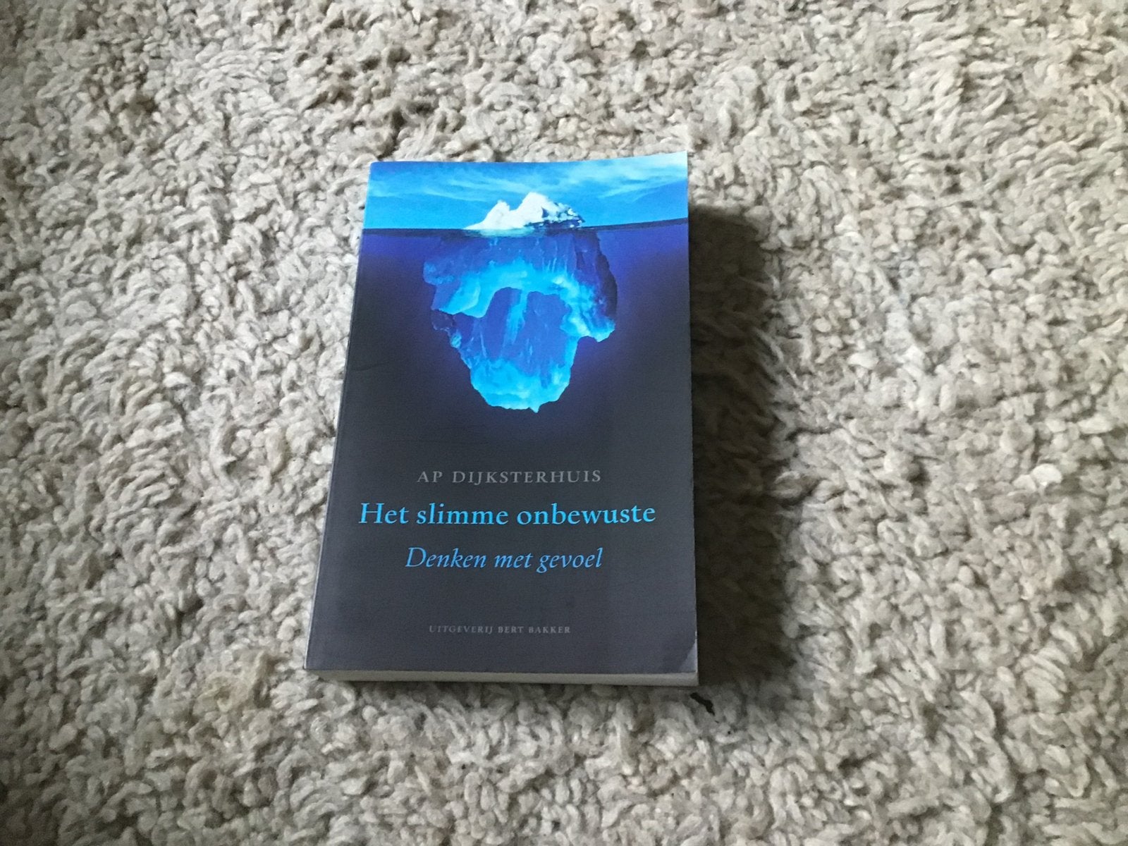 Het slimme onbewuste - AP Dijksterhuis opbr giro 555, Ophalen of Verzenden, Zo goed als nieuw, Cognitieve psychologie