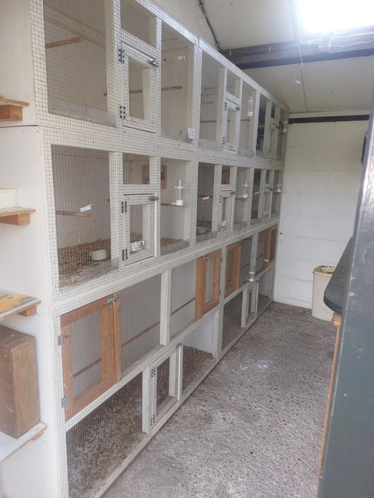 Broedkooien cq vogelkooien, Dieren en Toebehoren, Vogels | Hokken en Kooien, Ophalen, Broedkooi of Kweekkooi