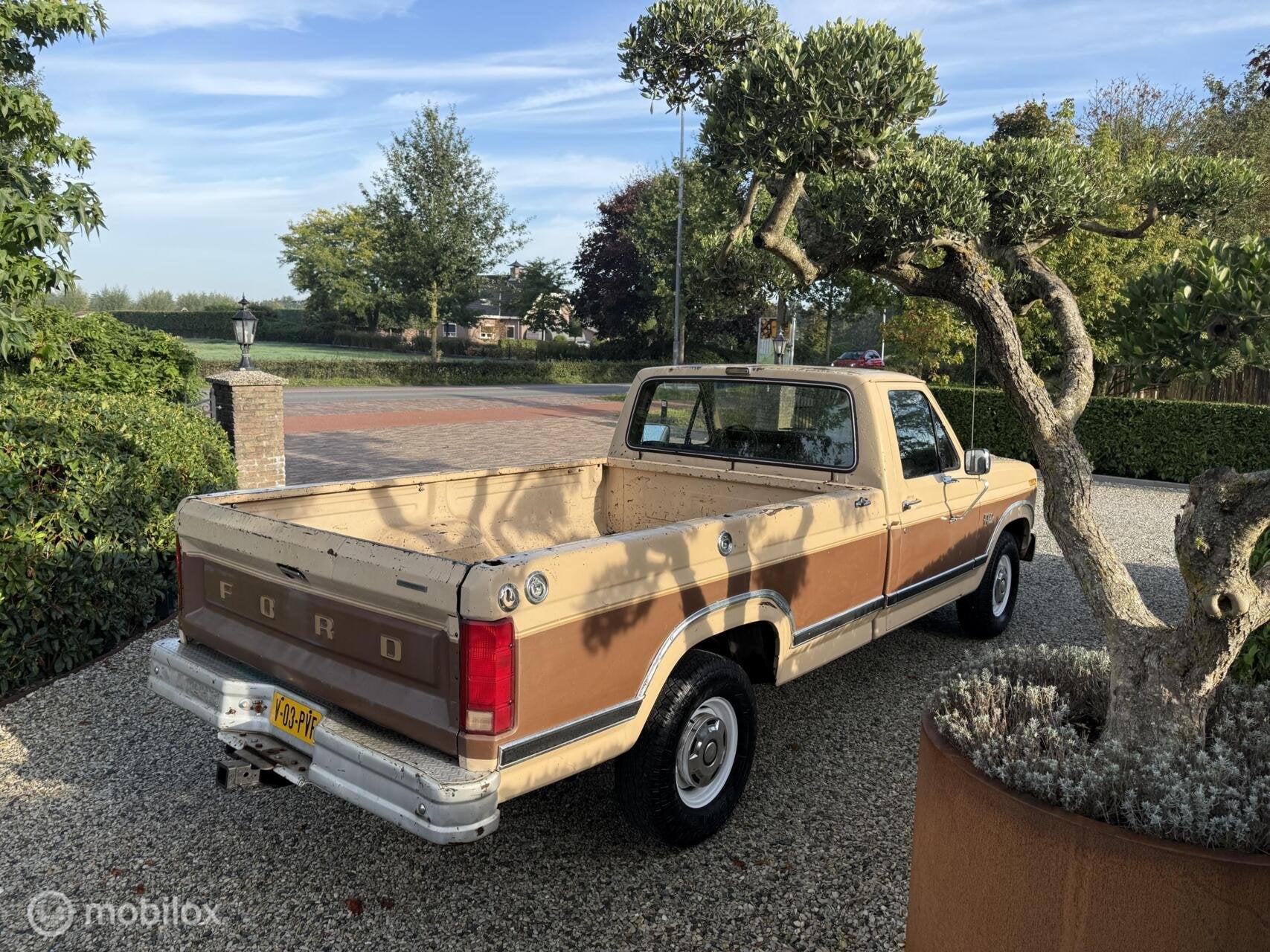 Ford F-150 5.0 V8 EFI Automaat 1986, foto 11