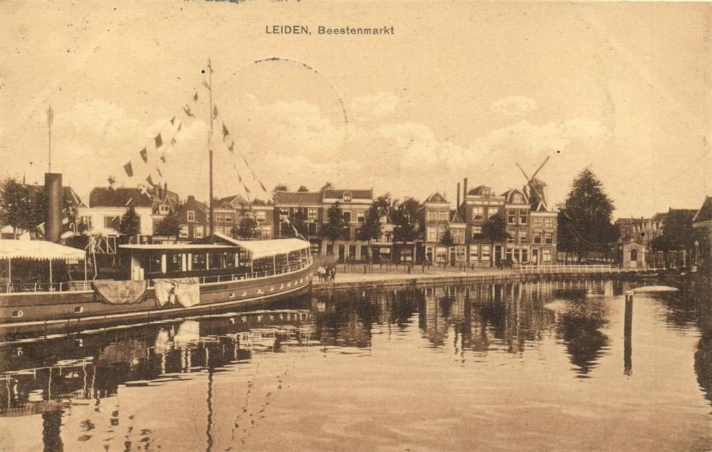 Leiden, Beestenmarkt - molen - 1909 gelopen, Verzenden, Voor 1920, Gelopen, Zuid-Holland