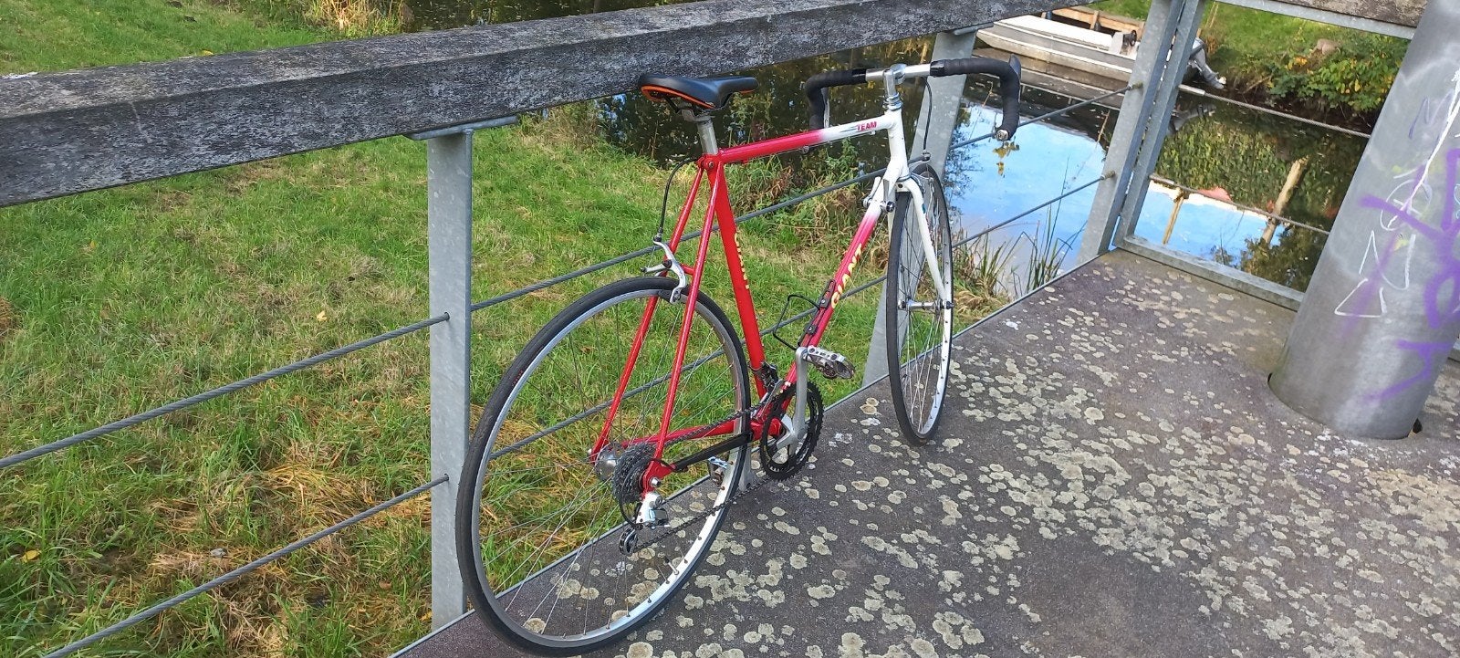 racefiets giant retro. in tostaat, Ophalen, 28 inch, Velgrem, Giant