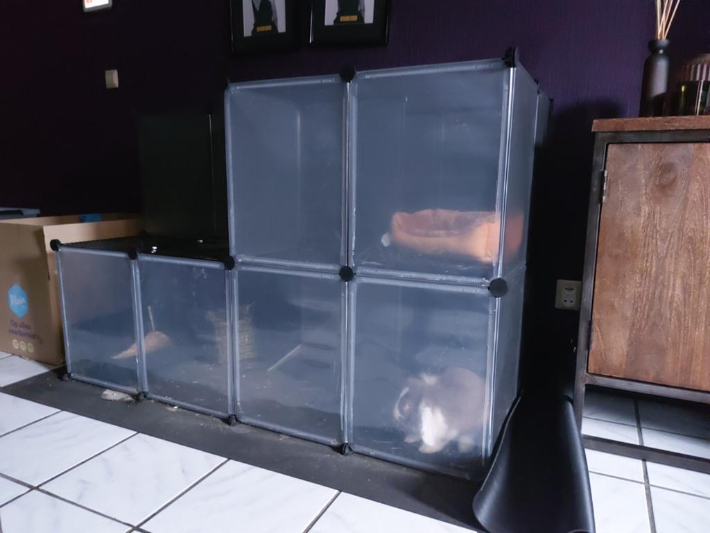 Nieuw! Leuk konijn/cavia hok, Ophalen, 110 cm of meer, 90 cm of meer, Konijn