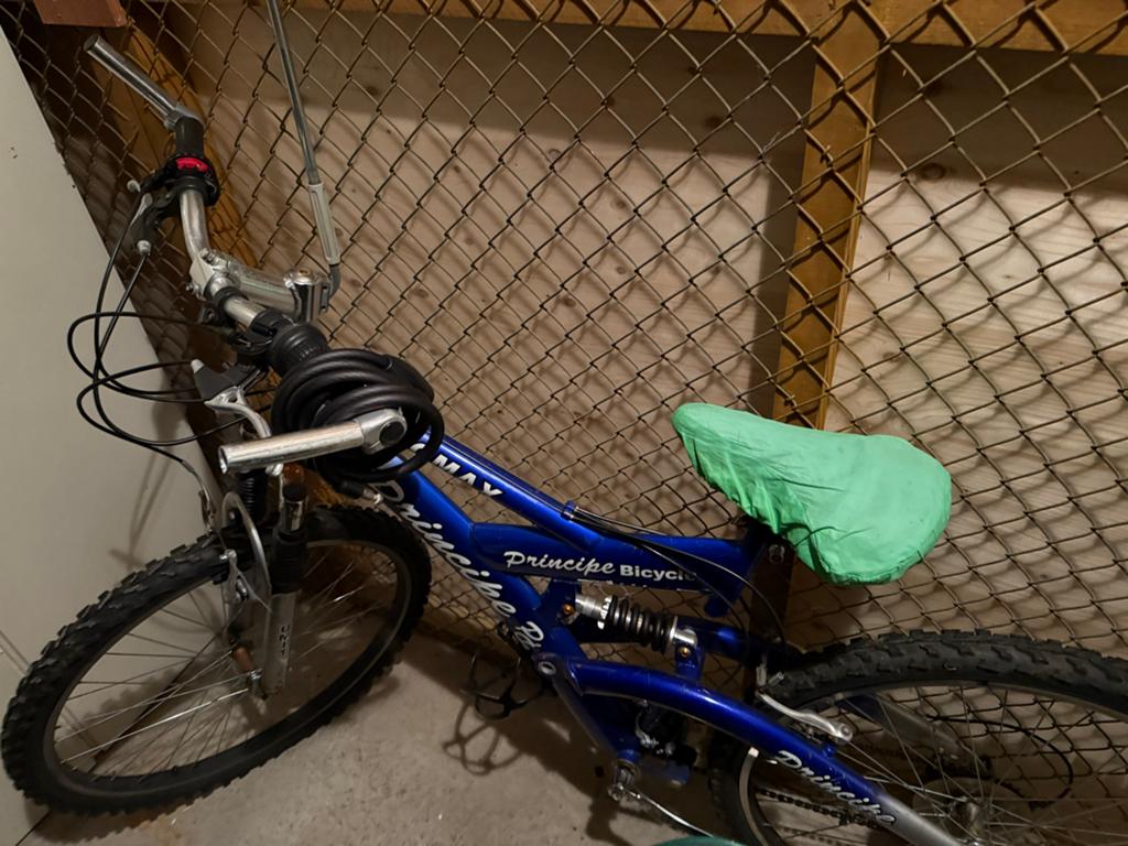 Promax Principe Bicycle Mountainbike, Gebruikt, 53 tot 57 cm, Ophalen, Overige merken
