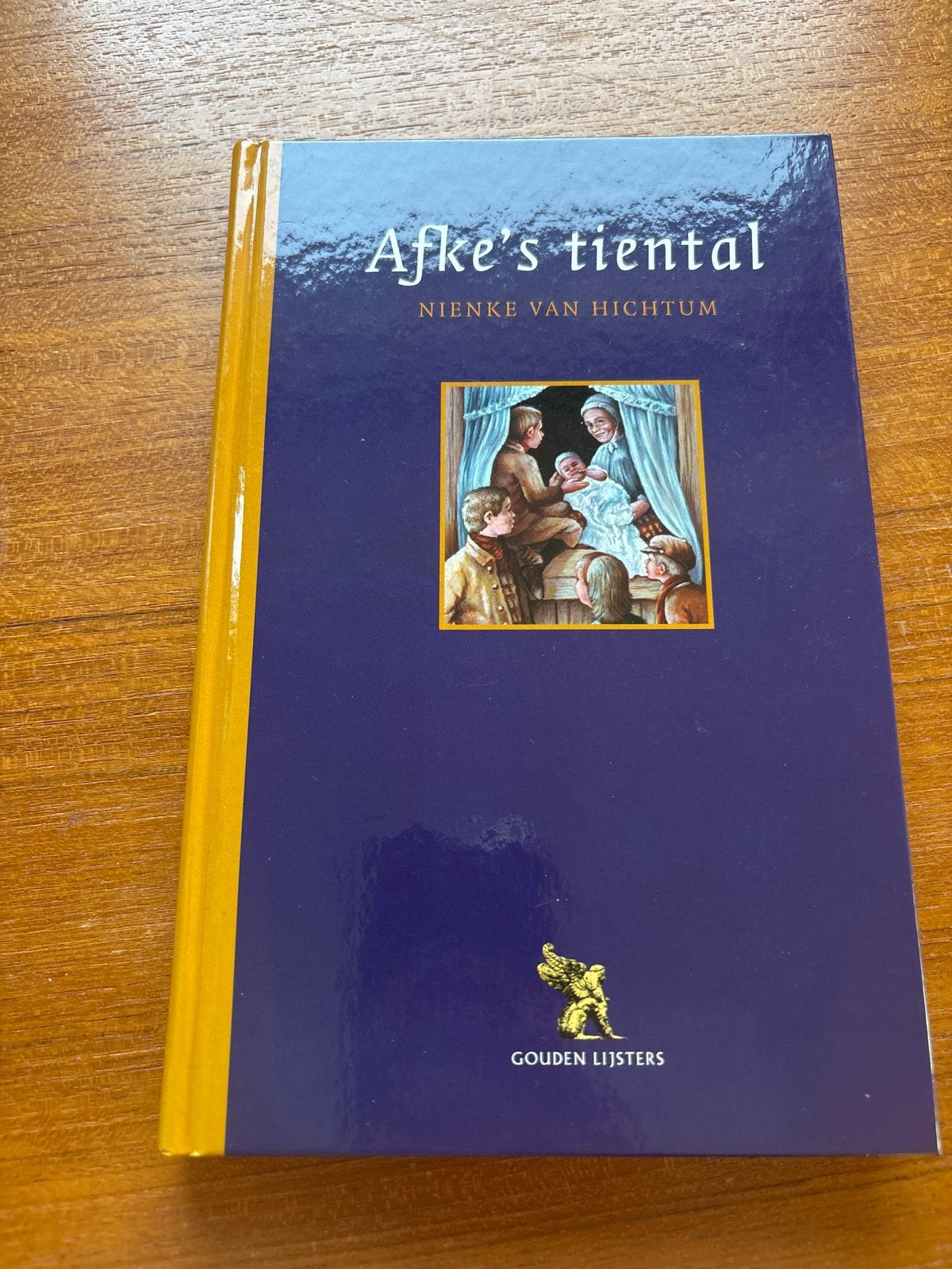 Afke's tiental - Nienke van Hichtum (Gebonden), Ophalen of Verzenden, Zo goed als nieuw, Fictie algemeen