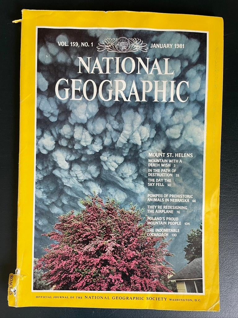 National Geographic Magazine jaargang 1981, Ophalen of Verzenden, Zo goed als nieuw, Wetenschap en Natuur