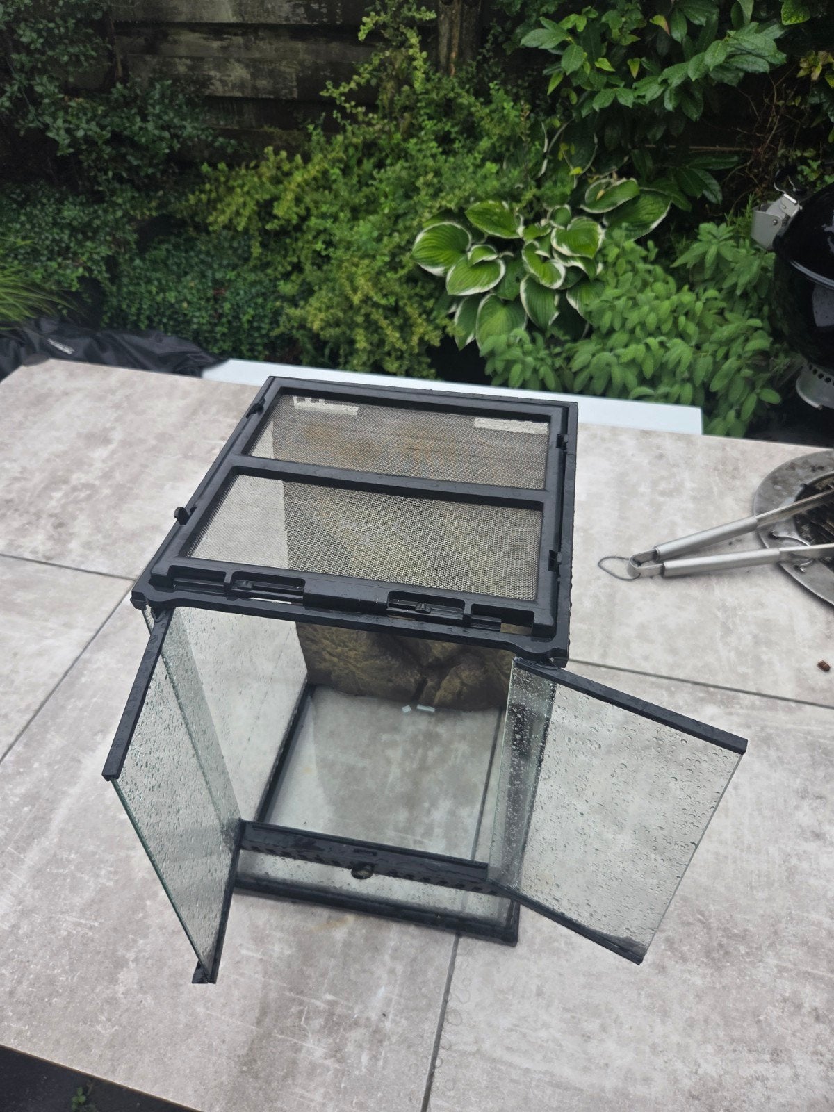 terrarium te koop, Ophalen of Verzenden, Gebruikt, Terrarium of Paludarium