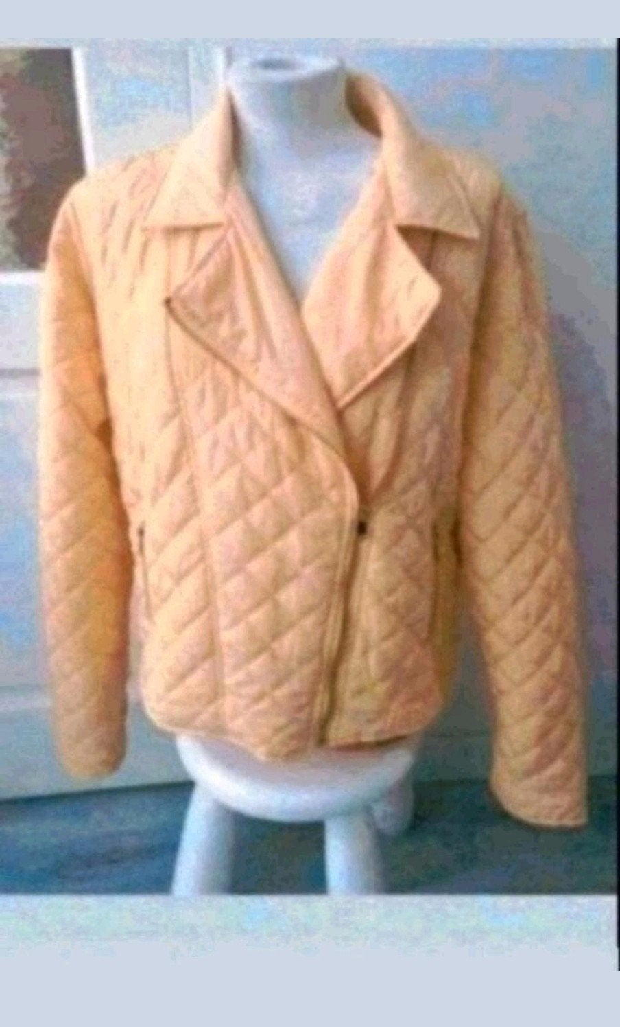 Pescara geel jas, Kleding | Dames, Jassen | Zomer, Geel, Maat 46/48 (XL) of groter, Pescara, Ophalen of Verzenden