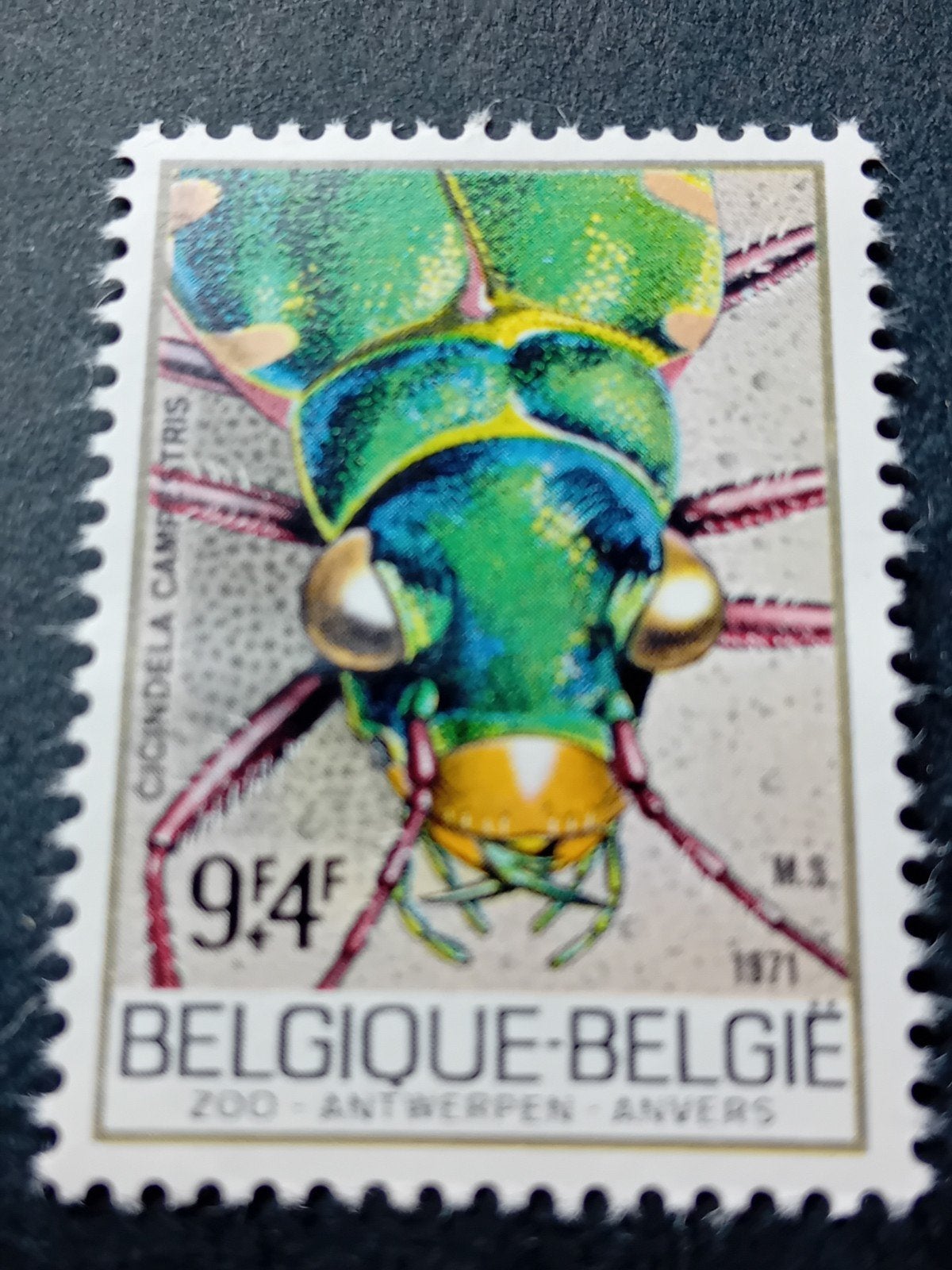 Belgische postzegel 1971 - Cicindela Campestris (Kever), Ophalen of Verzenden