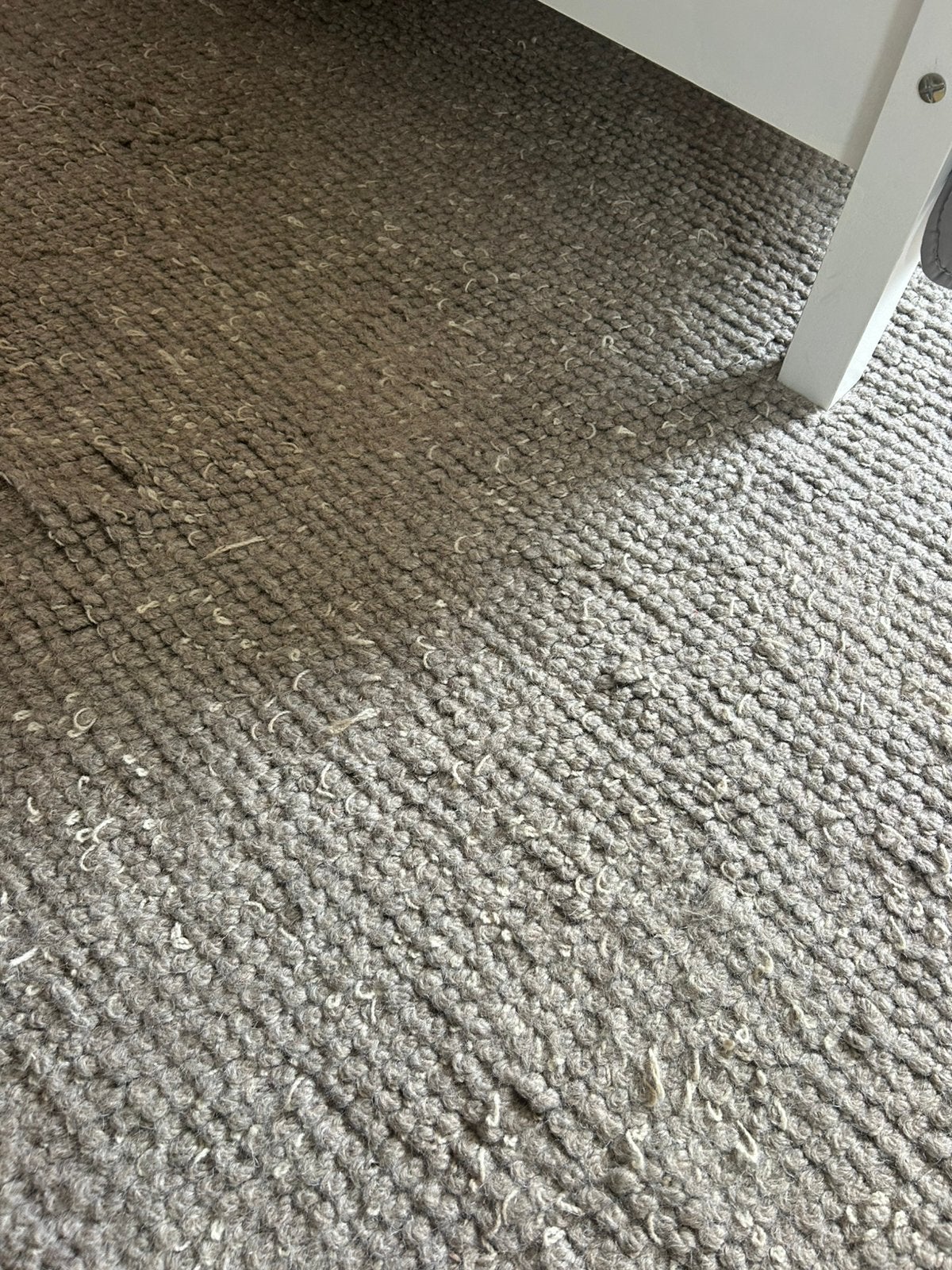 Prachtig groot wollen vloerkleed – 290 x 200 cm – €40, Ophalen, Gebruikt, Rechthoekig, 200 cm of meer