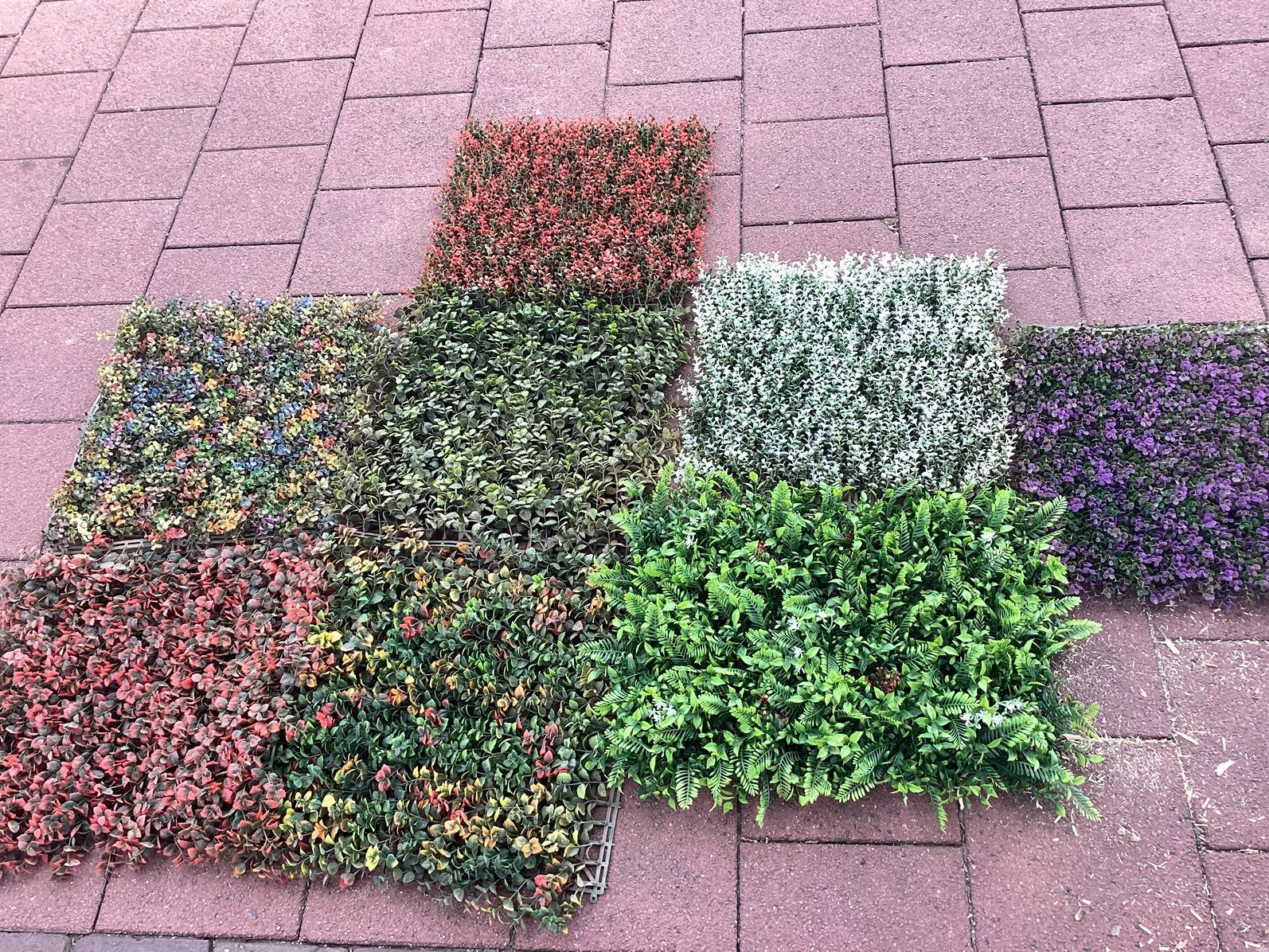 Vloer, muur versiering, Tuin en Terras, Planten | Tuinplanten, Ophalen, Vaste plant, Siergrassen, Bloeit niet