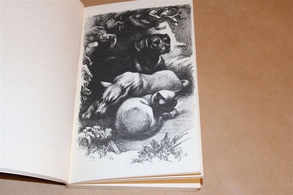 De Ongelooflijke Reis — Epische Tocht van 2 Honden en 1 Kat, Boeken, Ophalen of Verzenden, Gelezen, Honden