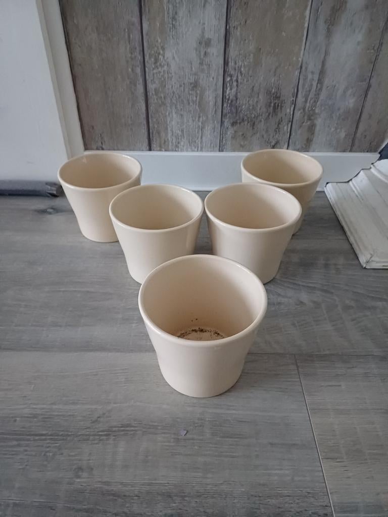 5x crèmekleurige bloempotten (voor binnen), Rond, Binnen, Ophalen of Verzenden, Zo goed als nieuw