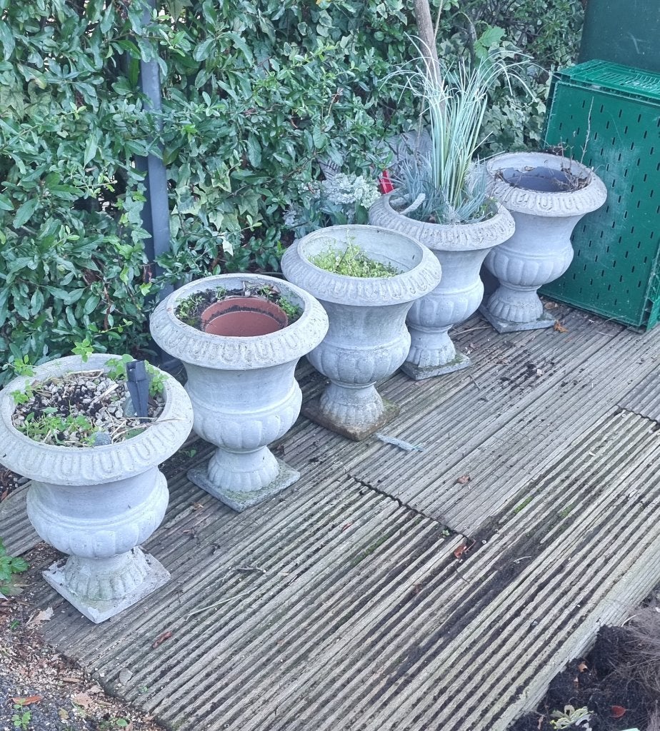 5 x  betonnen plantenbakken, Ophalen, Gebruikt, Minder dan 60 cm, Rond