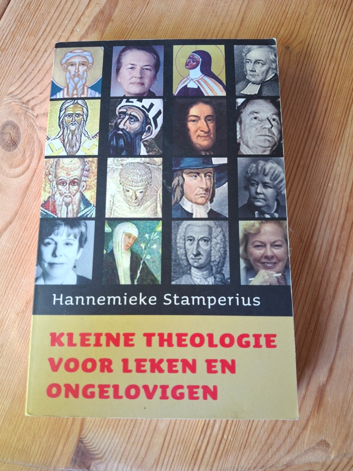 M. van der Plas - De engelbewaarder, Boeken, Ophalen of Verzenden, Gelezen, M. van der Plas