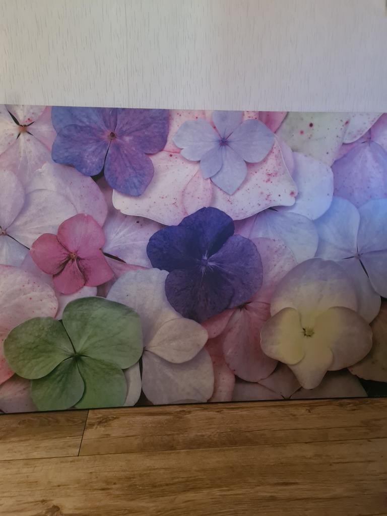 Groot canvas schilderij 120, Ophalen of Verzenden, Zo goed als nieuw, 125 cm of meer, Schilderij
