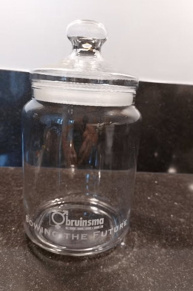 Glazen snoeppot voorraadpot 25 cm hoog, Huis en Inrichting, Voorraadpot, Ophalen, Zo goed als nieuw, Glas