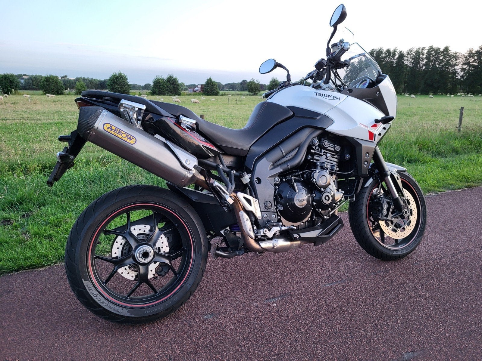 Triumph Tiger 1050 Sport, Motoren, Occasion, Particulier, Meer dan 35 kW, Toermotor