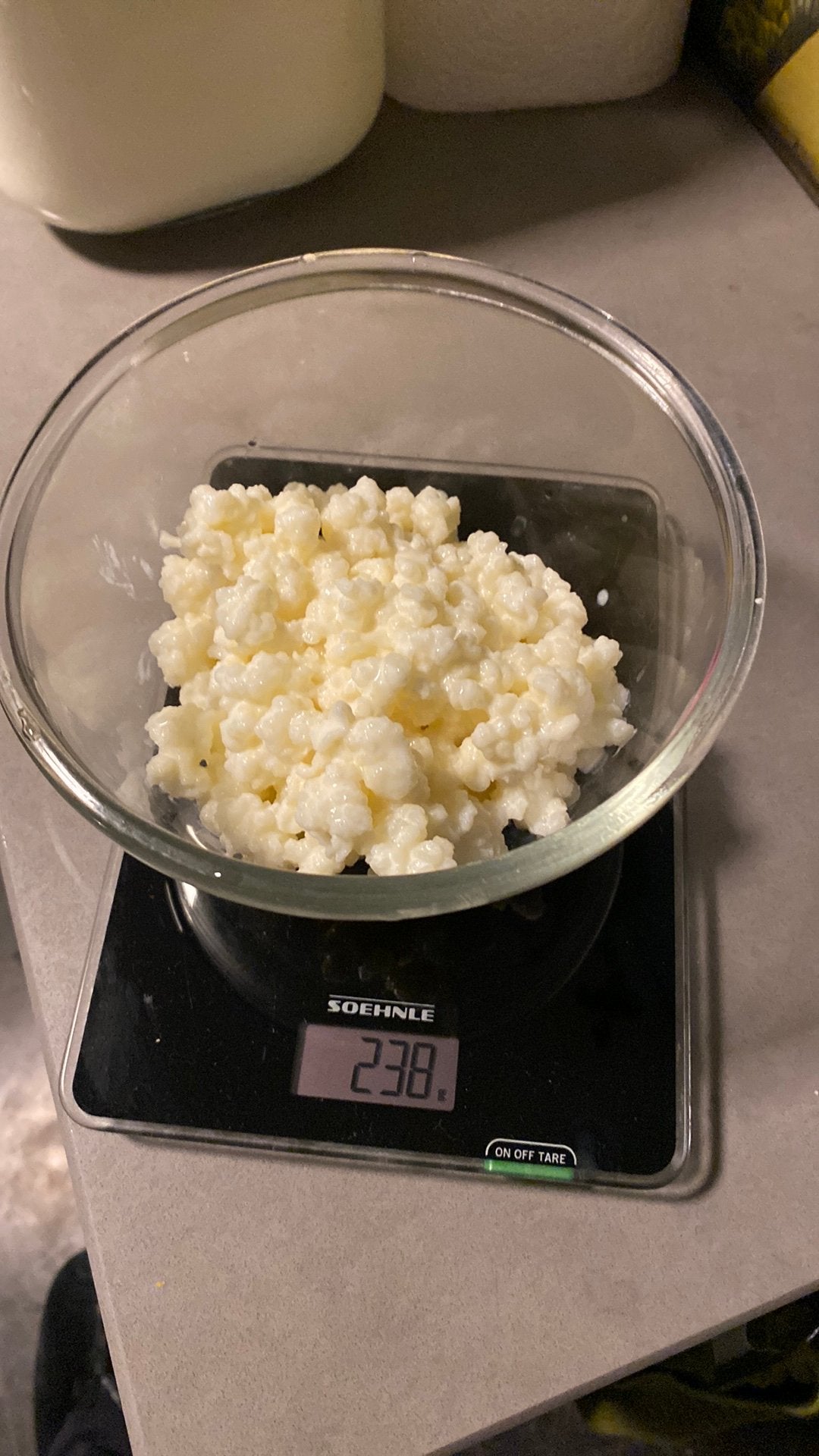 Kefir korrels, Diversen, Ophalen of Verzenden