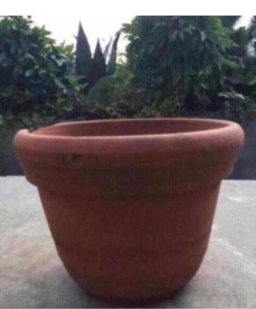 Diverse Italiaanse terracotta bloempotten stevige potten, 25 tot 40 cm, Ophalen of Verzenden, Zo goed als nieuw, Balkon