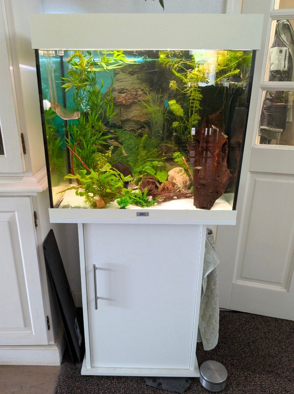 Te koop Juwel Lido 120 aquarium incl filter, Ophalen, Gebruikt, Leeg aquarium, Inclusief deksel
