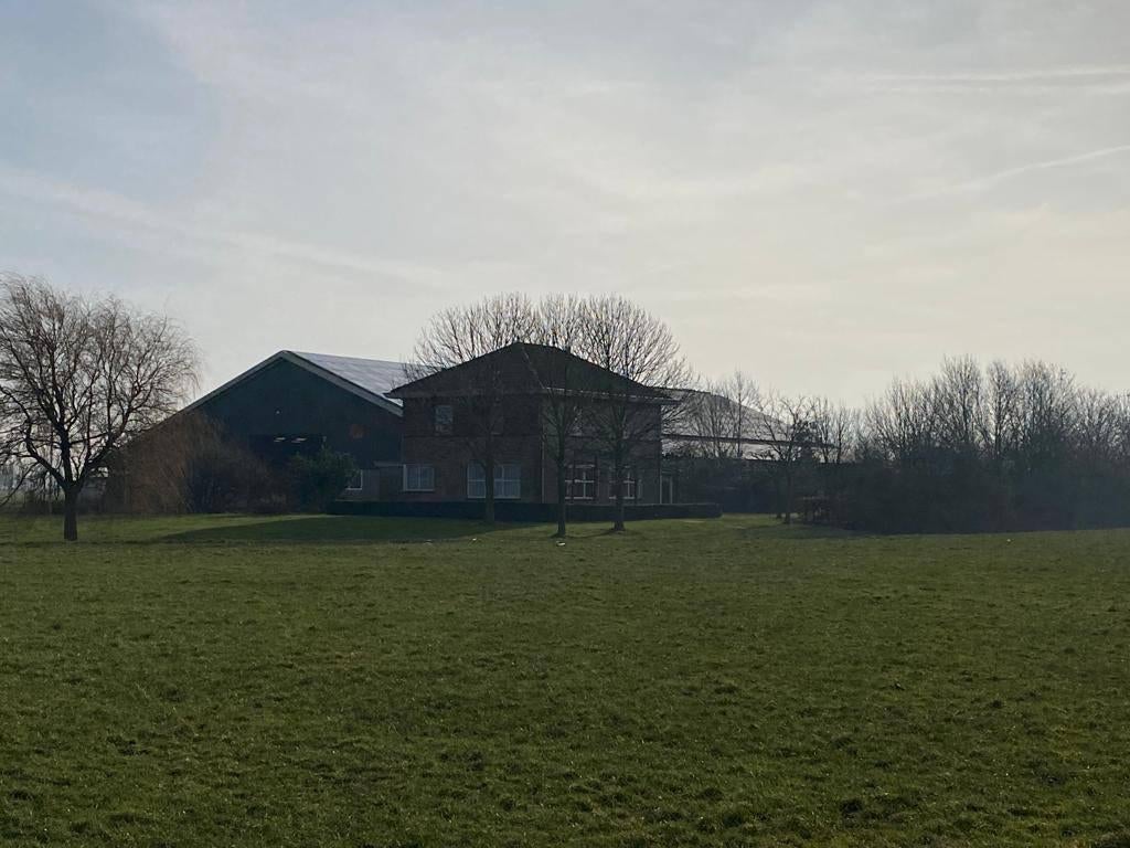 Bijbaantje op melkveebedrijf aan de rand van Bolsward, Verzorging