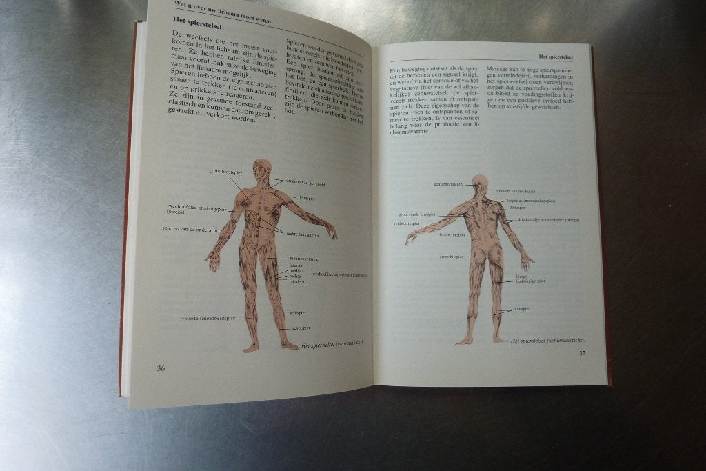 Massage - B. Rumpler, K. Schutt, Gelezen, Ophalen of Verzenden, Instructieboek, Overige onderwerpen