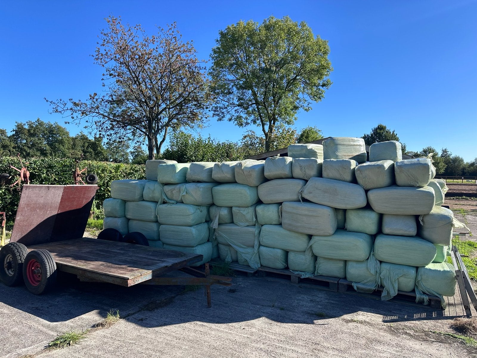 Kleine balen hooi (200) en kuilgras (50) 35-40kg!!!, Ophalen of Verzenden, Vee
