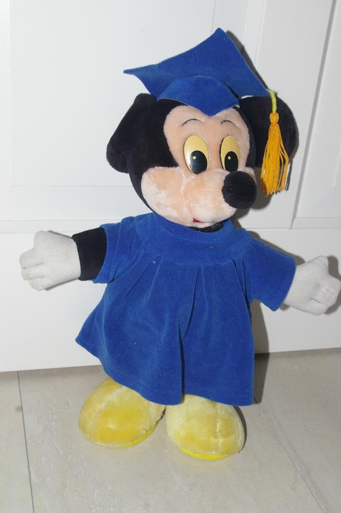 Disney knuffels en handpoppen 11 stuks., Ophalen of Verzenden, Zo goed als nieuw, Overige typen