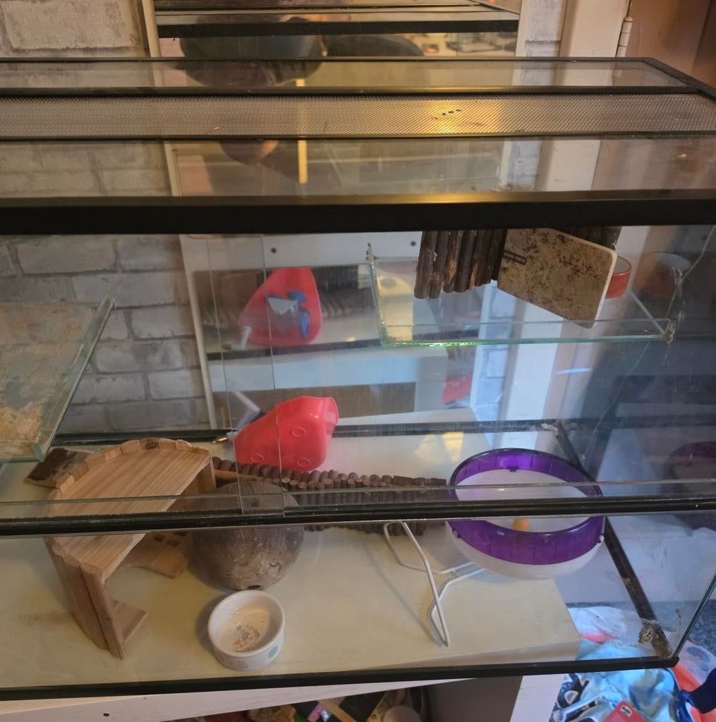 Mooie glazen hamsterkooi zo goed als nieuw, Kooi, Zo goed als nieuw, Muis, 75 tot 110 cm