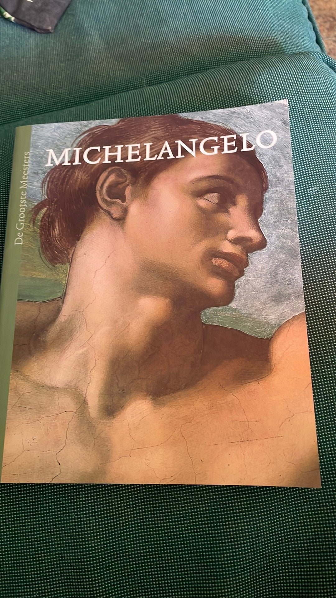 Michelangelo, Ophalen of Verzenden, Nieuw, Schilder- en Tekenkunst