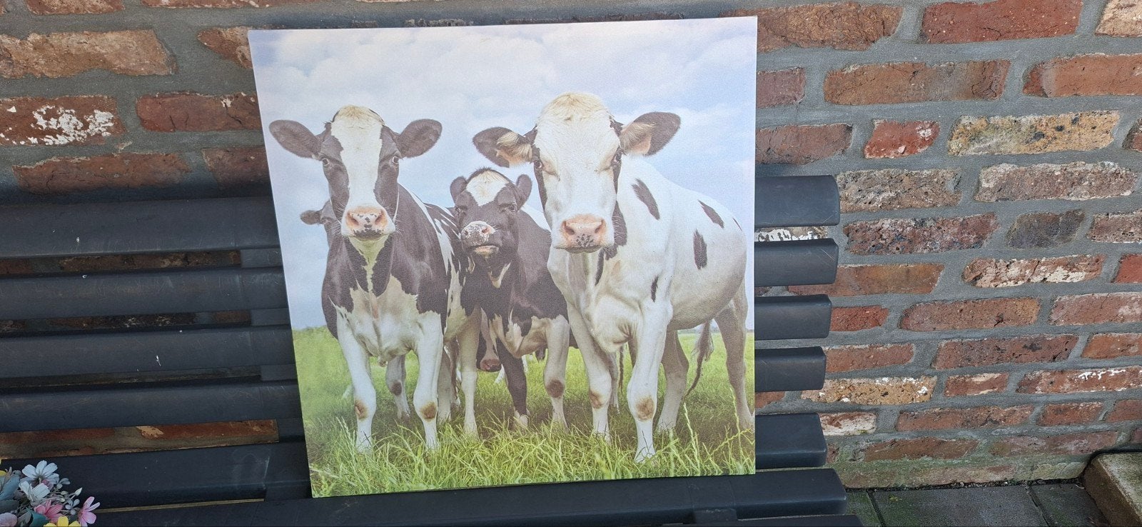 Schilderij met 5 Koeien, Antiek en Kunst, Ophalen of Verzenden