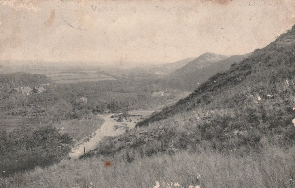 VALKENISSE Panorama 1919, Verzenden, Voor 1920, Gelopen, Zeeland