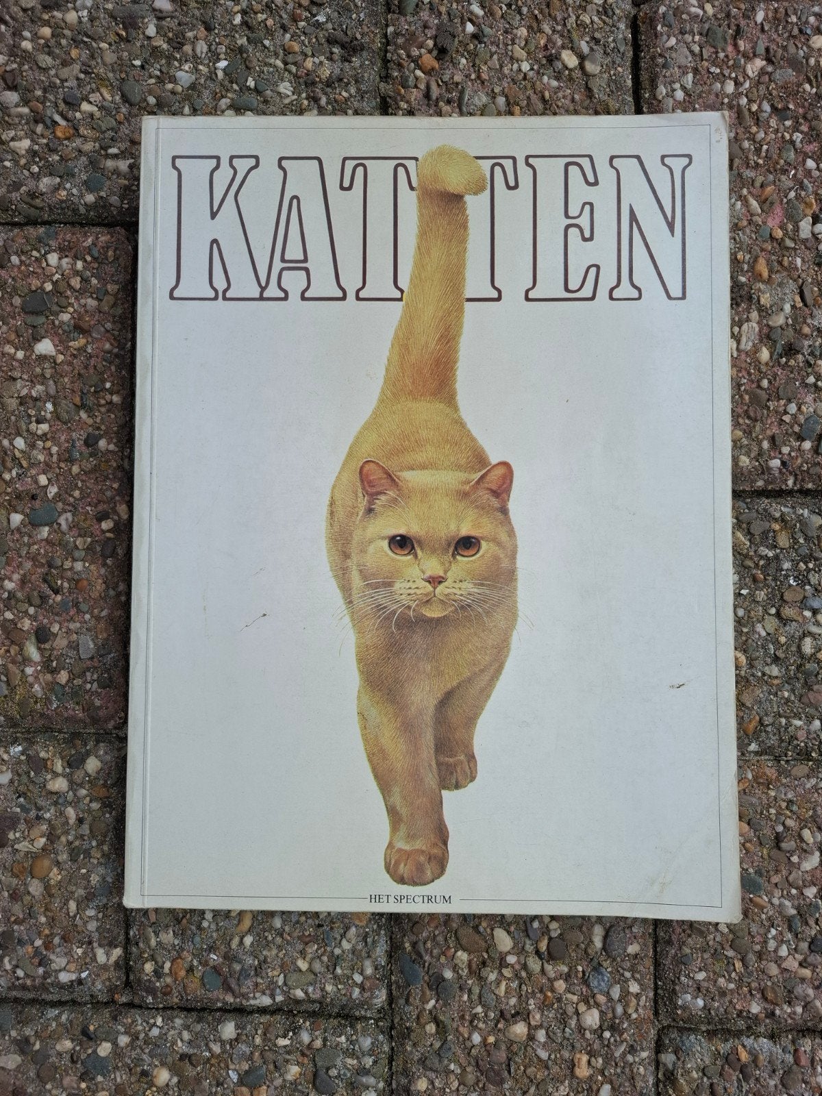 Boek: Katten - Het Spectrum (Dierenencyclopedie), Ophalen of Verzenden, Zo goed als nieuw, Katten, Onbekend