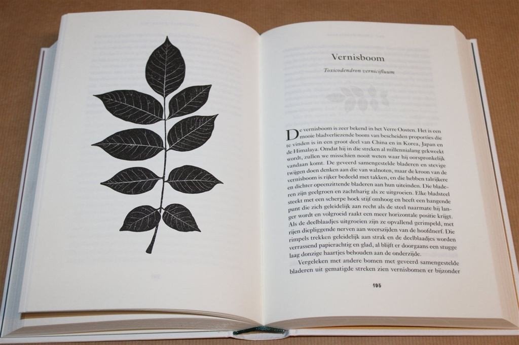 Het Grote Bladerboek — Van Beuk tot Ginkgo, 50 Bladeren, Ophalen of Verzenden, Zo goed als nieuw