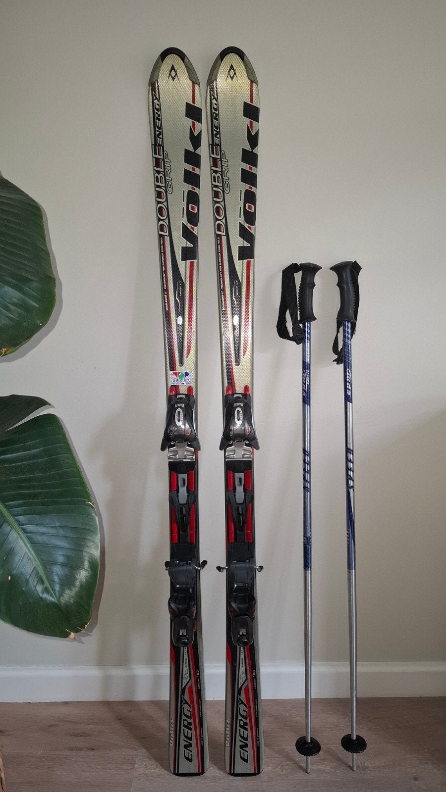 Complete ski set: ski's, stokken en skischoenen (44/45), 160 tot 180 cm, Gebruikt, Carve, Skiën