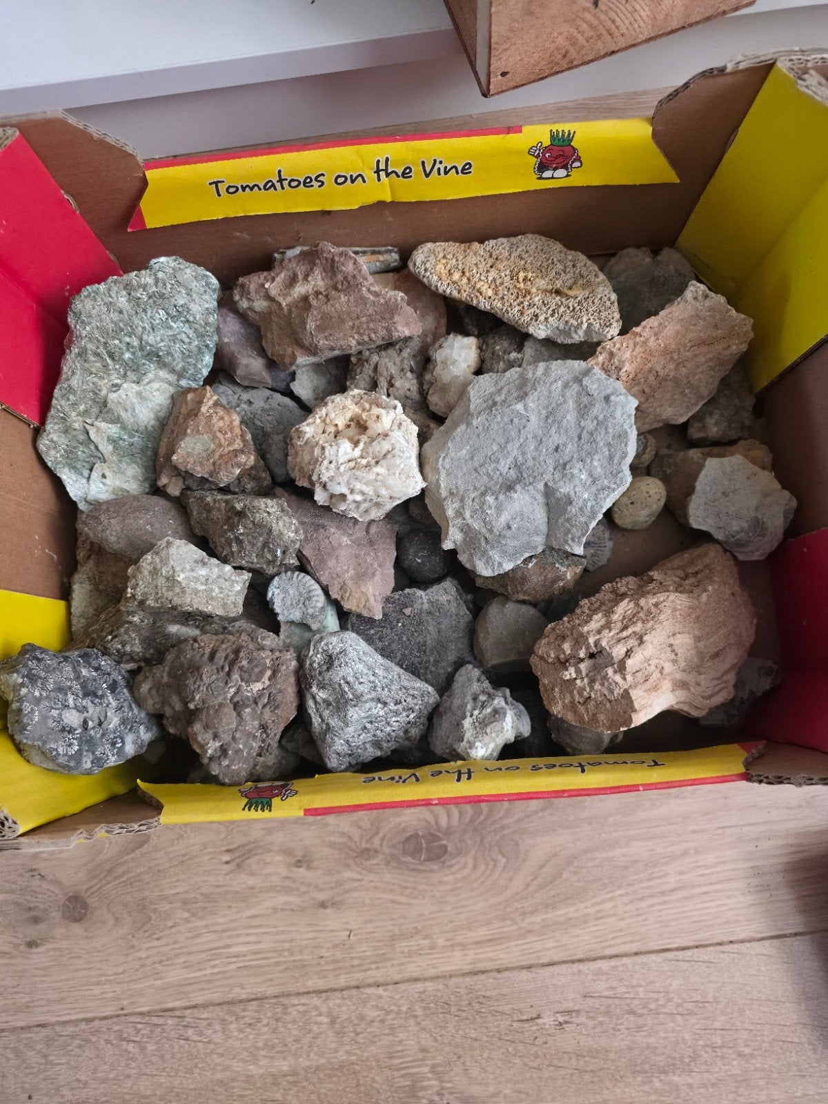 Grote partij mineralen, gesteenten en fossielen, Ophalen