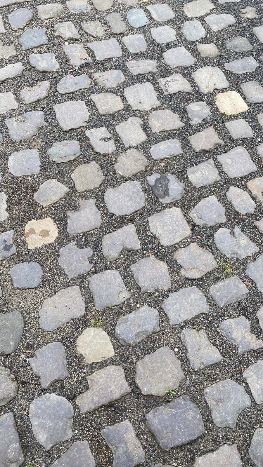 Ca 300 belgische kasseien gratis!! (8m2) ( kinderkoppen ), Ophalen, Zo goed als nieuw, Beton, Klinkers