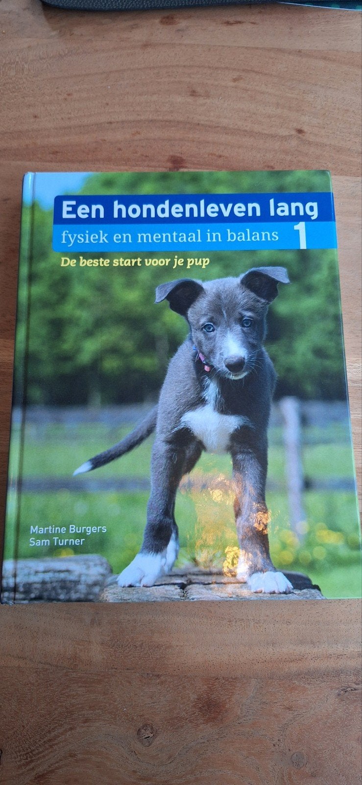 Een hondenleven lang: De beste start voor je pup, Ophalen of Verzenden, Zo goed als nieuw, Honden, Martine Burgers, Sam Turner