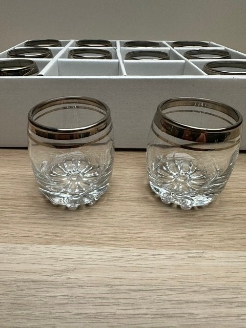 ABK 12-delige Glazenset met Zilverkleurige Rand, Glas of Glazen, Ophalen of Verzenden, Overige stijlen, Glas